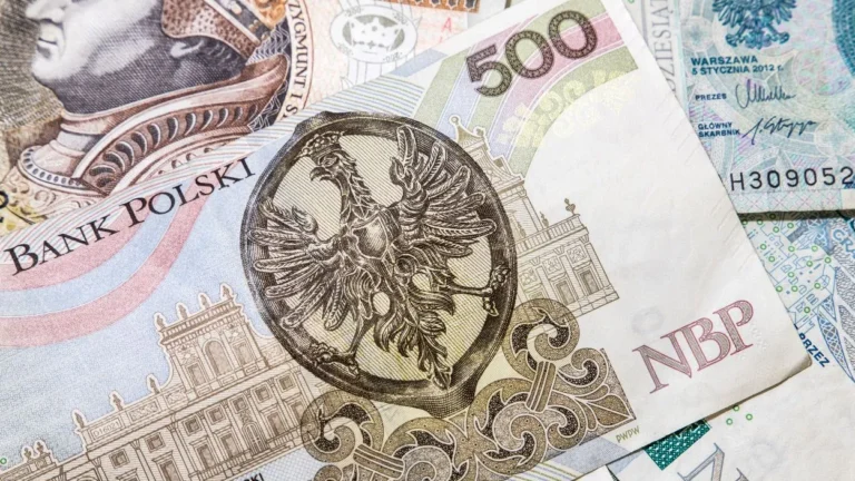 Finanse i Firma: Jak Zarządzać Pieniędzmi w Biznesie