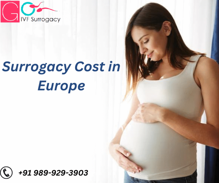 Navigating the Financial Landscape of Surrogacy Cost in Spain